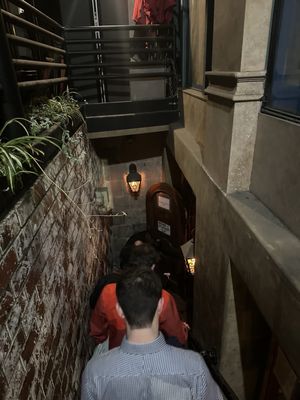 Blind Donkey by null