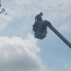 Razorback Tree Service