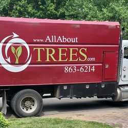 All About Trees