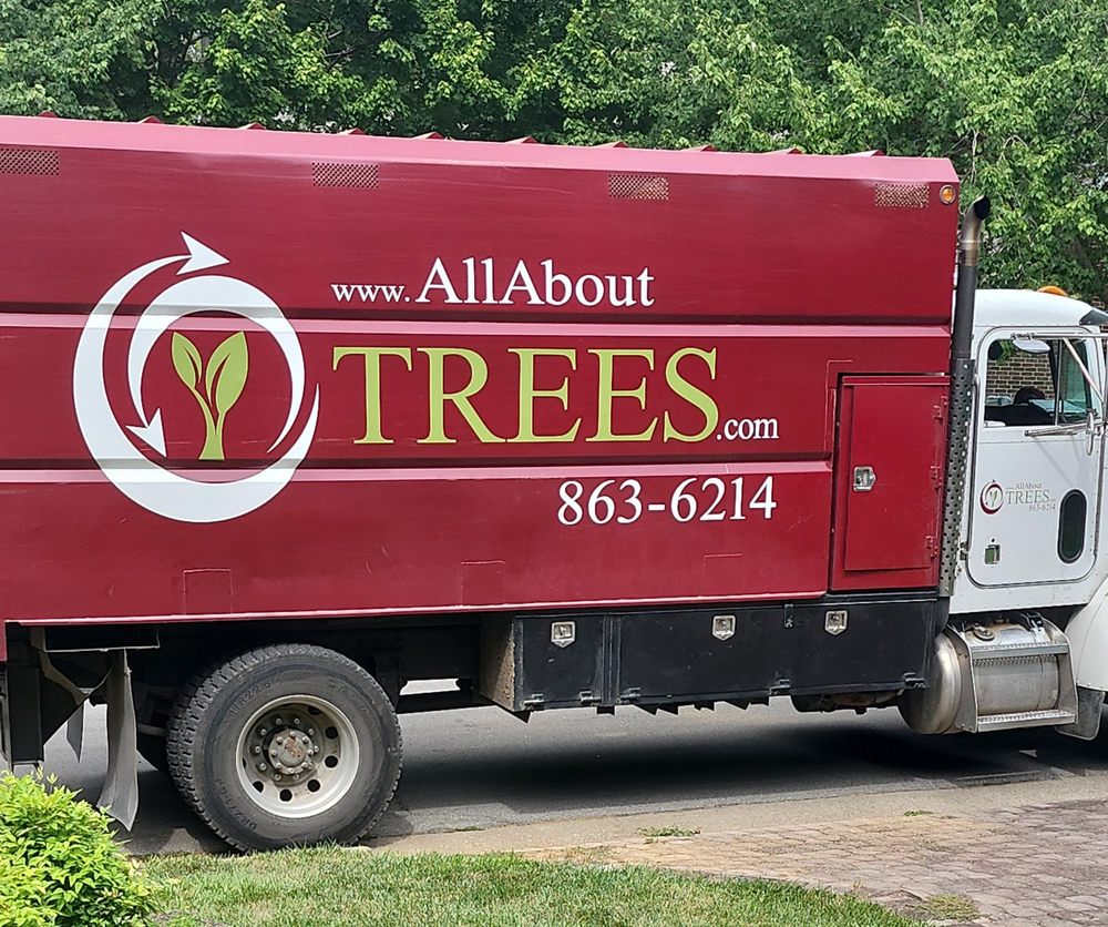 ALL ABOUT TREES Updated October 2024 23 Photos 3427 W Farm Rd 146