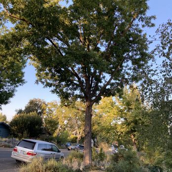 Valley Falls Tree Care - Tree Services Near Me