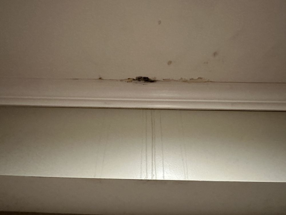 Slide of Dad's Plumbing