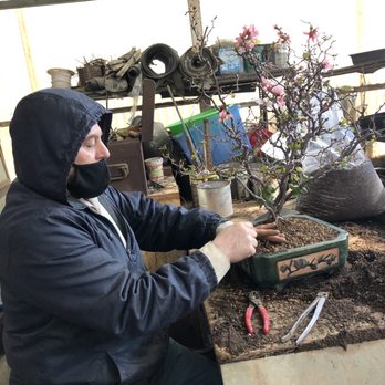 Fuji Bonsai Nursery - Nurseries & Gardening Near Me - Sylmar, California