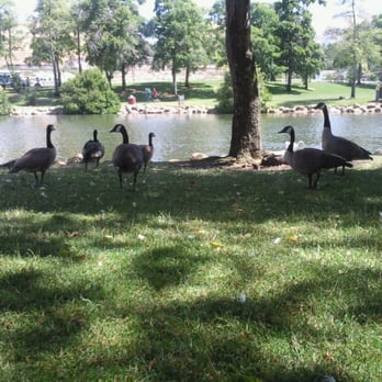Oak Hill Park - Canadian geese overlooking the lake - Venues & Event Spaces Near Me - Danville, California Oak Hill Park - Canadian geese overlooking the lake - Venues & Event Spaces Near Me - Danville, California