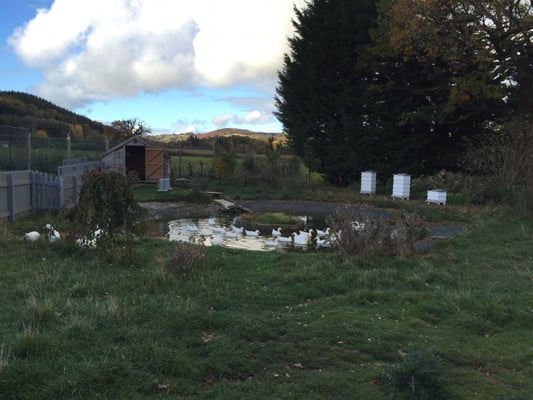 Llangoed Hall Hotel by null