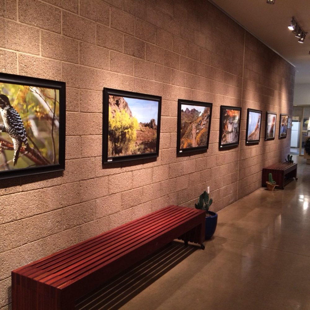 North Mountain Visitor Center - I always love the photography works at visitor centers. My bias as a photographer. LOL! - Visitor Centers Near Me - Phoenix, Arizona North Mountain Visitor Center - I always love the photography works at visitor centers. My bias as a photographer. LOL! - Visitor Centers Near Me - Phoenix, Arizona