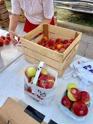 North Union Farmers Market by null
