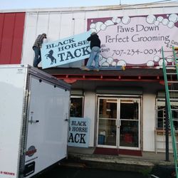 Black Horse Tack - Putting up the sign.