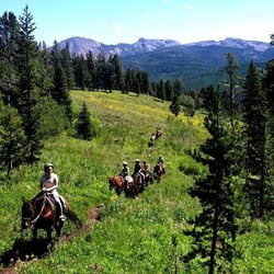 Specimen Creek Outfitters