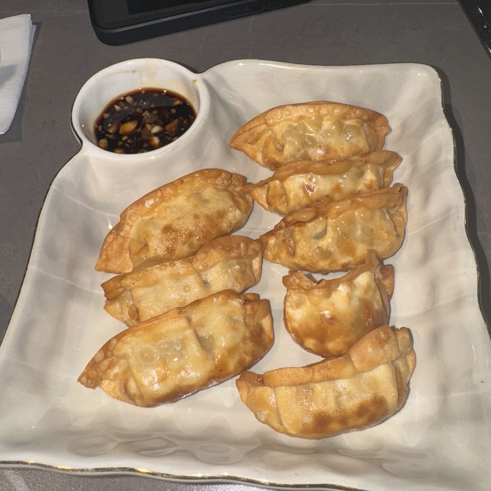 No 1 Noodles - Fried Dumplings - Chinese Near Me - Plano, Texas No 1 Noodles - Fried Dumplings - Chinese Near Me - Plano, Texas