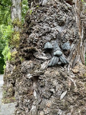 Volunteer Park by null