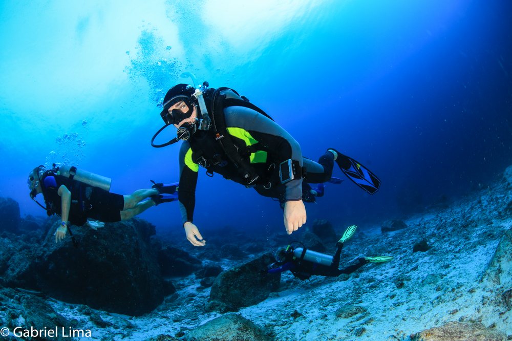 D D DIVE SHOP Updated August 2024 20 Photos & 12 Reviews 552 E