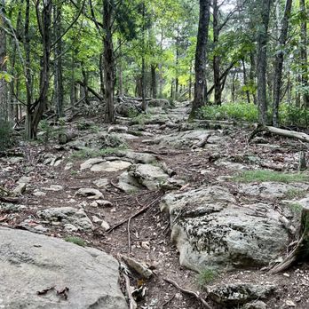 Panther Creek State Park - Hiking Near Me - Morristown, Tennessee