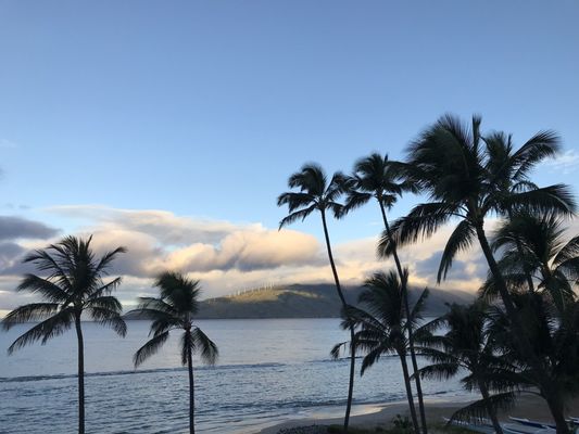 Menehune Shores Condominium by null