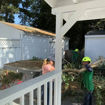 Willy's Tree Service - Tree Services Near Me Willy's Tree Service - Tree Services Near Me