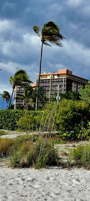 Bonita Beach Park by null