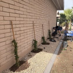 A & P Nurseries & Lawn Mower Shop
