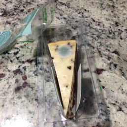 Moldy cheesecake Moldy cheesecake