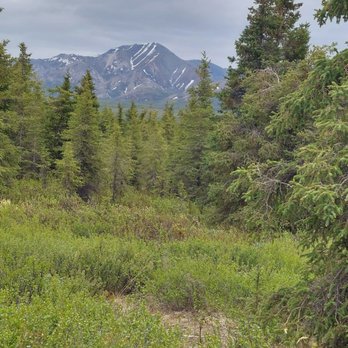 Denali National Park - Hiking Near Me - Mckinley Park, Alaska