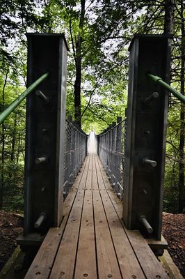 Fall Creek Falls by null