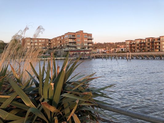 Hudson Farmer & The Fish Restaurant by null