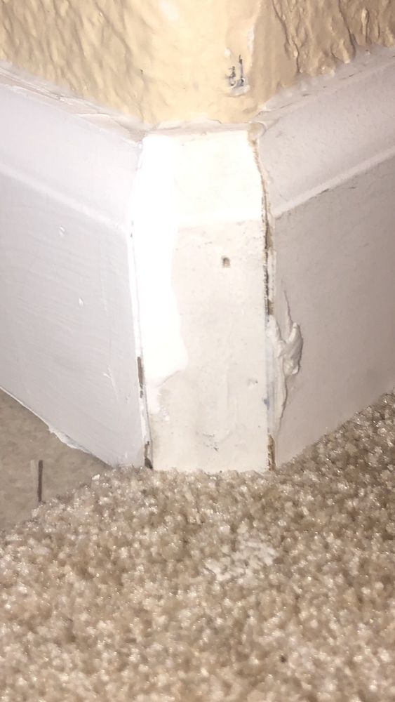 Slide of Blue Line Roofing & Construction - San Antonio