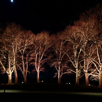 Longwood Gardens - Under the moonlight - 11/29/2025 - Botanical Gardens Near Me - Kennett Square, Pennsylvania Longwood Gardens - Under the moonlight - 11/29/2025 - Botanical Gardens Near Me - Kennett Square, Pennsylvania