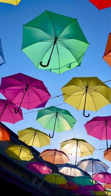 Destin Commons by null