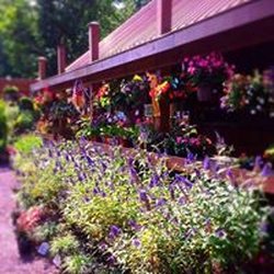 Flood's Nursery & Landscaping - Floods Nursery
