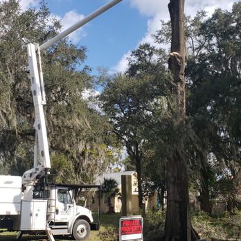 Joes Tree Service - a utility truck and a tree - Tree Services Near Me - Plant City, Florida Joes Tree Service - a utility truck and a tree - Tree Services Near Me - Plant City, Florida
