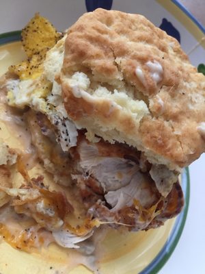 Maple Street Biscuit Company by null