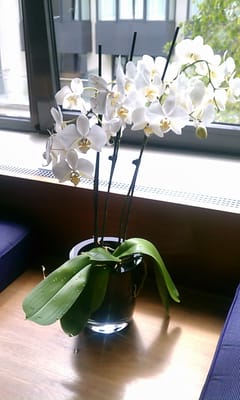 The Fitzwilliam Hotel Dublin by null The Fitzwilliam Hotel Dublin by null