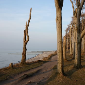 Hotel Am Alten Strom - Gespansterwald im Ostseebad Nienhagen - Hotels Near Me - Warnemünde, MV Hotel Am Alten Strom - Gespansterwald im Ostseebad Nienhagen - Hotels Near Me - Warnemünde, MV