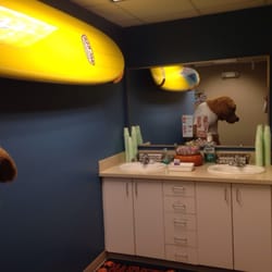 Avon Orthodontics - Toothbrushing Station