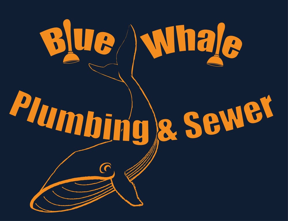 Slide of Blue Whale Backflow, Plumbing, & Excavating