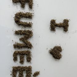FUMEE Smokeshop & Lounge