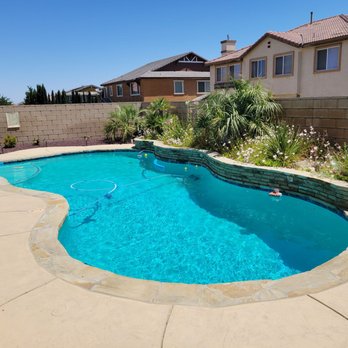 Pro Lawn Care - Landscaped our entire yard and poolside planter with new palms and plants - Gardeners Near Me Pro Lawn Care - Landscaped our entire yard and poolside planter with new palms and plants - Gardeners Near Me