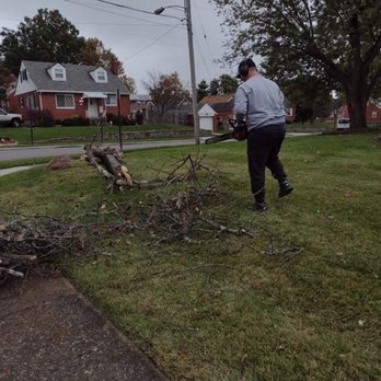 Skeens Lawn Care Services - Tree Removal - Lawn Services Near Me Skeens Lawn Care Services - Tree Removal - Lawn Services Near Me