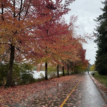 Green Lake Park - Autumn - Parks Near Me - Seattle, Washington