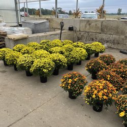 Henning's Farm And Greenhouses