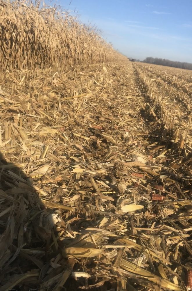 VAN CAMP FARMS Updated October 2024 W8150 Hooyman Rd, Shiocton