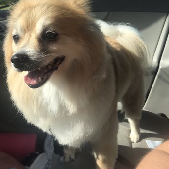 PetSmart - Pet Stores Near Me - Hermitage, Tennessee