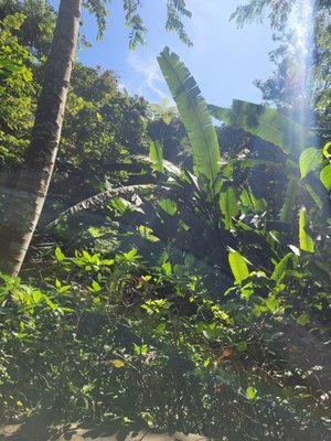 The Habitat Penang Hill by null