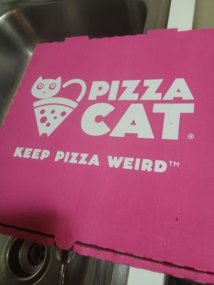 Pizza Cat by null