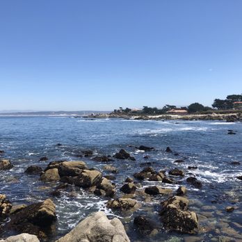 Adventures By The Sea - Break stop during our surrey adventure along the recreation trail 8.14.20 - Bike Rentals Near Me - Monterey, California Adventures By The Sea - Break stop during our surrey adventure along the recreation trail 8.14.20 - Bike Rentals Near Me - Monterey, California
