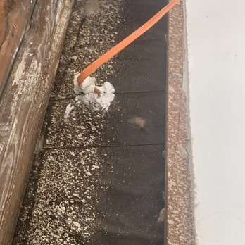 Top To Bottom Construction - Stucco Services Near Me - Valley Center, California Top To Bottom Construction - Stucco Services Near Me - Valley Center, California