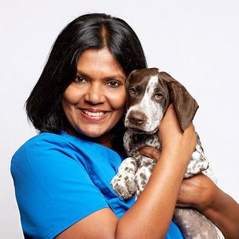 Urgent Pet Animal Hospital - Veterinarians Near Me - El Cerrito, California Urgent Pet Animal Hospital - Veterinarians Near Me - El Cerrito, California