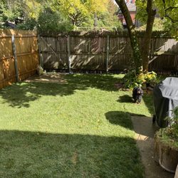Green City Landscapes - Done!