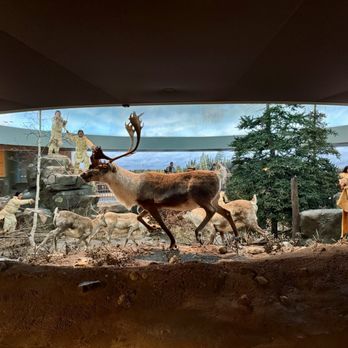 Mashantucket Pequot Museum & Research Center - Pequots hunting caribou during the Ice Age - Museums Near Me - Mashantucket, Connecticut Mashantucket Pequot Museum & Research Center - Pequots hunting caribou during the Ice Age - Museums Near Me - Mashantucket, Connecticut