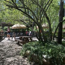 The Bean Trees - Patio dining on the river!!!